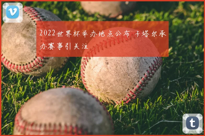 2022世界杯举办地点公布 卡塔尔承办赛事引关注