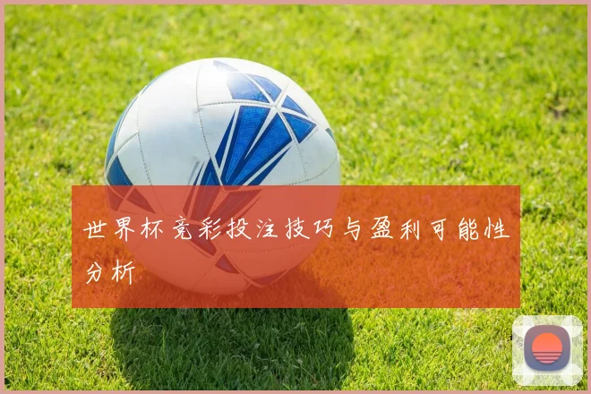 世界杯竞彩投注技巧与盈利可能性分析
