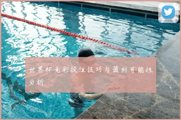 世界杯竞彩投注技巧与盈利可能性分析