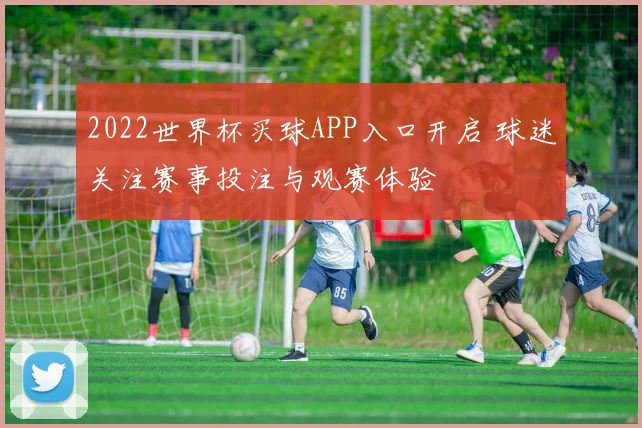 2022世界杯买球APP入口开启 球迷关注赛事投注与观赛体验