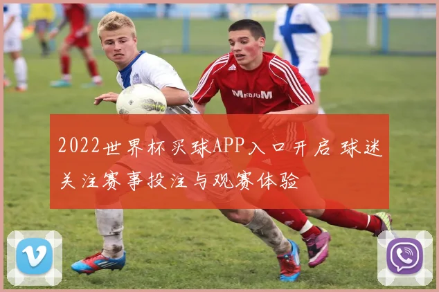 2022世界杯买球APP入口开启 球迷关注赛事投注与观赛体验