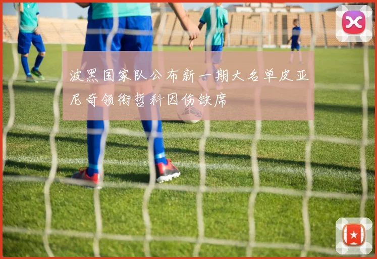 波黑国家队公布新一期大名单皮亚尼奇领衔哲科因伤缺席