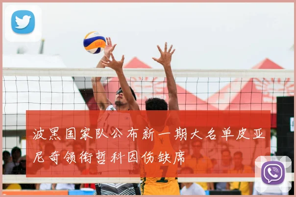 波黑国家队公布新一期大名单皮亚尼奇领衔哲科因伤缺席
